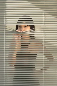 Vertical blinds are a good alternative or companion to privacy window film.