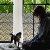 stickpretty_privacy_window_film_lace_bk.jpg
