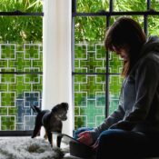 stickpretty_sheer_privacy_window_film_peggy_wh.jpg